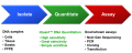 iQuant™ dsDNA HS Assay Kit iQuant.png