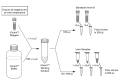 iQuant™ dsDNA HS Assay Kit High-Sensitivity-dsDNA2.png