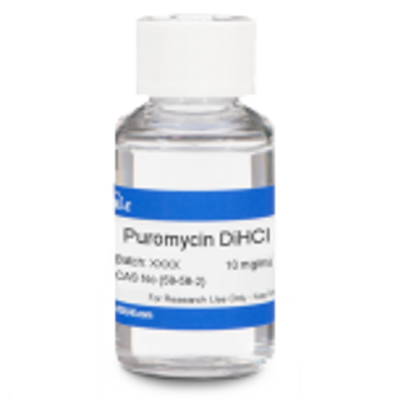 Puromycin Dihydrochloride ReadyMade™ Solution P025__43974__81615.png