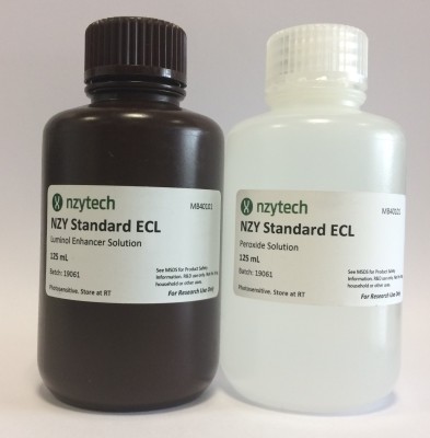 NZY Standard ECL 