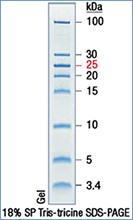 PageRuler™ Unstained Low Range Protein Ladder 