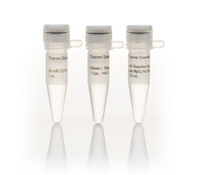 Deoxyribonuclease I (RNase free) EN0521.jpg