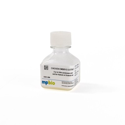 CHICKEN EMBRYO EXTRACT ee9ead5a919004143597d2fdf96b11970e2061dd39f3eae095308bd8b14bebd9.jpeg