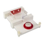 Multi Sub Mini/Midi Flexi caster