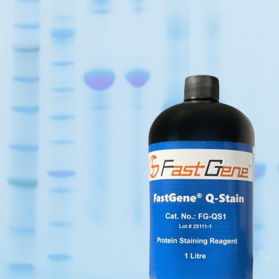 FastGene Q-stain.jpg