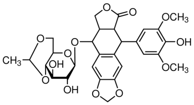 ELASTIN 5bd082b18e56d87ffdbb6a4ab0065b9b95d8ad4ce0bcafc764c2f6a1988c36a8.png