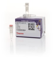Rapid DNA Ligation Kit