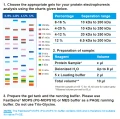 FastGene® PAGE Gel 8-16% -12 well (8x10 cm) Rozdzielczość żeli.png