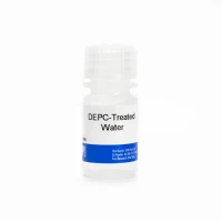 DEPC-treated water
