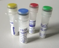 DFS-"HOT" Taq DNA Polymerase (DNA-free sensitive, E-coli. DNA Free)