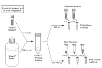iQuant™ dsDNA BR Assay Kit