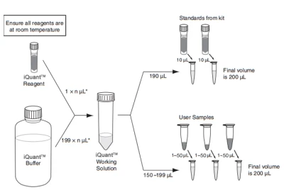 iQuant™ dsDNA BR Assay Kit High-Sensitivity-dsDNA2.png