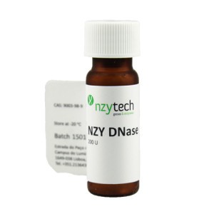 NZY DNase I 