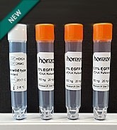 EGFR Multiplex cfDNA Reference Standard Set 