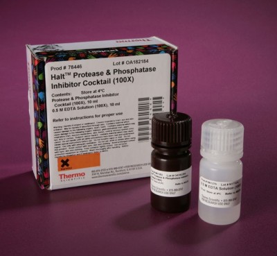 Halt™ Protease and Phosphatase Inhibitor Cocktail (100X) 