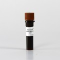 Midori Green Advance DNA Stain 