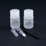 Minute™ Detergent-Free Total Protein Extraction Kit Animal Cultured Cells/Tissues