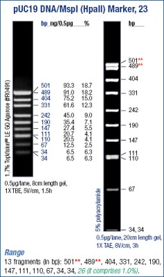 pUC19 DNA/MspI Marker 
