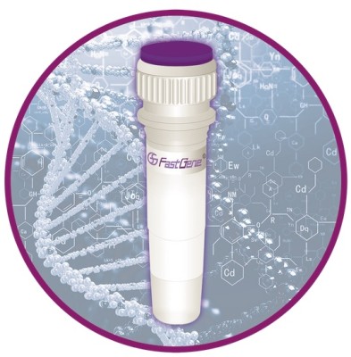FastGene Scriptase II 