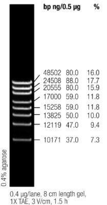 GeneRuler™ DNA Ladder, High Range 