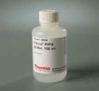 RIPA Lysis and Extraction Buffer