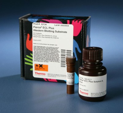 Pierce™ ECL Plus Western Blotting Substrate 
