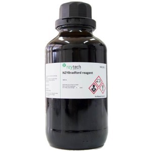NZYBradford Reagent 
