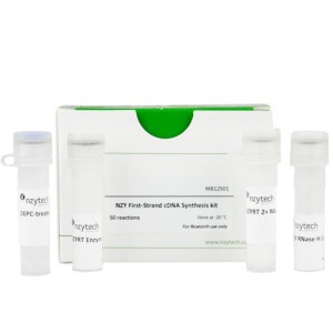 NZY First-Strand cDNA Synthesis Kit 