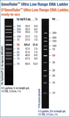 GeneRuler™ DNA Ladder, Ultra Low Range, ready-to-use 
