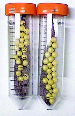 BigA LYSING MATRIX, TUBE 