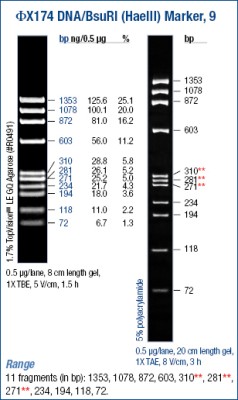 ΦX174 DNA/BsuRI(HaeIII) Marker 