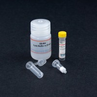 Minute™ Bacterial Total Protein Extraction Kit