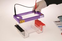 MultiSub Midi96 STRETCH aparat do elektroforezy poziomej