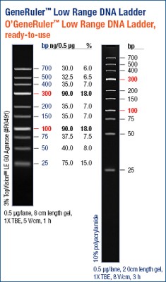 GeneRuler™ DNA Ladder, Low Range 