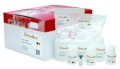 FastGene® Plasmid Mini Kit 