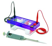 MultiSub Mini - aparat do elektroforezy poziomej