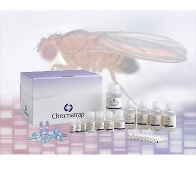 Chromatrap Drosophila UniqSeq pro A 
