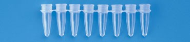 Probówki do PCR 0,2 ml,w paskach po 8 szt., + wypukłe wieczka w paskach, przezroczyste 