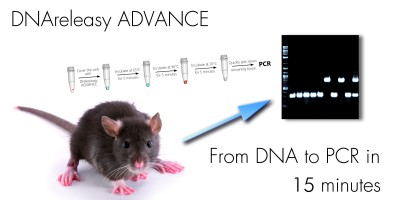 DNAreleasy Advance 