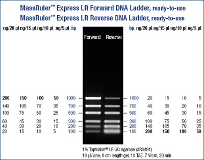 MassRuler™  Express DNA Ladder, Low Range Forward 