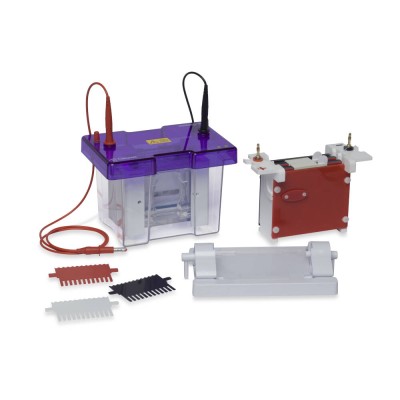 omniPAGE Mini - zestaw modułowy do elektroforezy pionowej & blottingu o wysokiej intensywności 