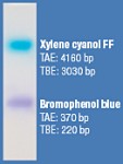 6X Loading Dye and SDS Solution