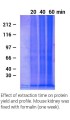 Minute™ Protein Extraction Kit for Fixed and Embedded Tissues 