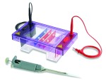 MultiSub Midi Duo - aparat do elektroforezy poziomej