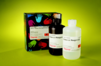 Pierce™ Western Blot Signal Enhancer