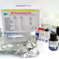 TRANSFORM & GROW™ BACTERIAL TRANSFORMATION KIT