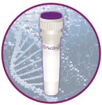 FastGene Scriptase II cDNA Kit