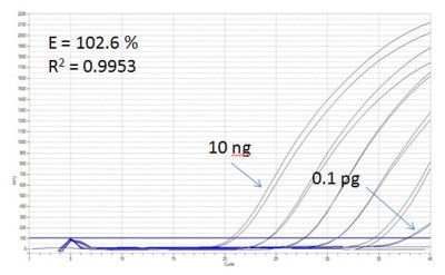 Luminaris HiGreen qPCR Master Mix 