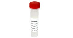 DharmaFECT kb DNA transfection reagent - for plasmid transfection 