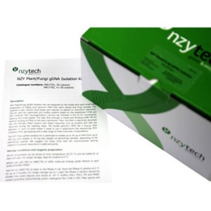 NZY Plant/Fungi gDNA Isolation kit 